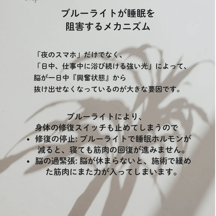 画像292